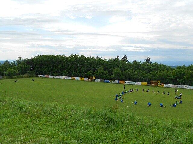 Die Löwen haben Quartier in Maria Taferl (Niederösterreich) bezogen. Bis 1. Juli bereitet sich der TSV 1860 dort auf die neue Saison vor. Die ersten Bilder vom Ort, dem Trainingsplatz, dem Quartier.