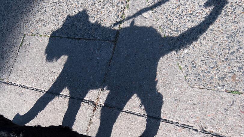 In Baden-Württemberg fordert ein Unbekannter via Flugblatt zur Tötung eines Hundes auf. (Symbolbild)