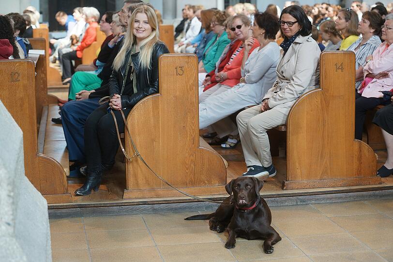 Dieser Hund ist aufmerksam...