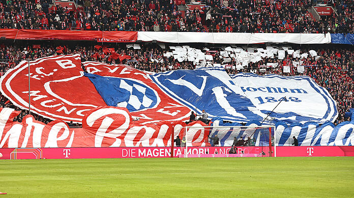 Die Choreo in der Südkurve.