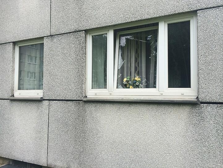 Auch auf der Rückseite hat es ein Fenster eingedrückt.