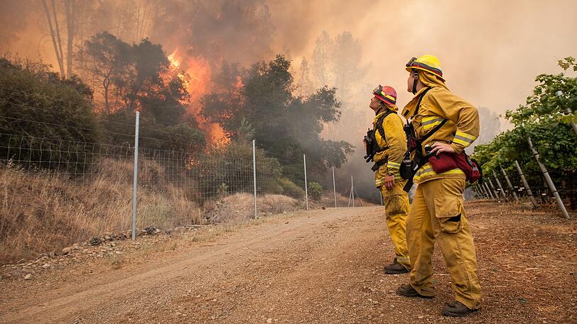 Im Norden Kaliforniens kämpft die Feuerwehr im Juni gegen vier größere Feuer, die Hunderte Häuser bedrohen. Am gefährlichsten war der Brand im Bezirk Lake zwischen Sacramento und der Pazifikküste.