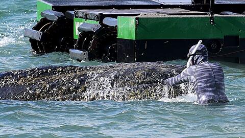 Lehmann dirigiert auch die Bagger, die als Teil der Rettungsversuche im Einsatz sind.
