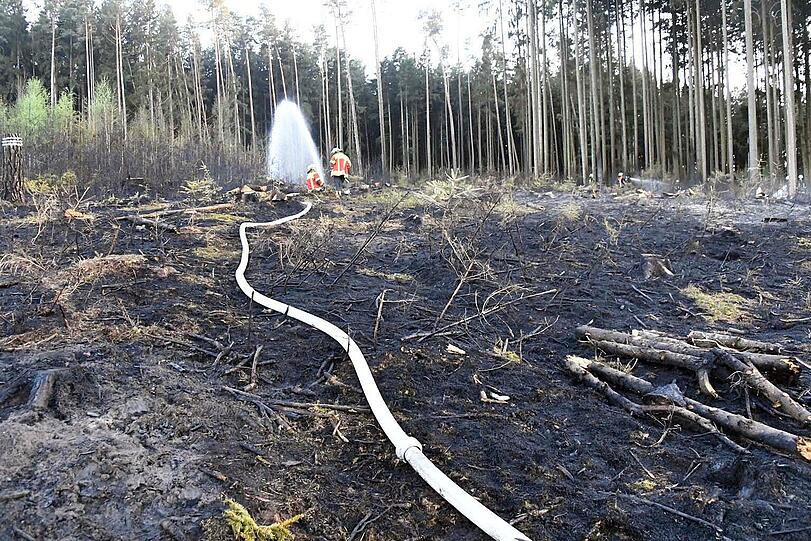 In der Nähe von Landshut standen am Freitagabend knapp 20.000 Quadratmeter Wald in Flammen. Rund 300 Einsatzkräfte waren bis tief in die Nacht im Einsatz, um den Brand unter Kontrolle zu bekommen.