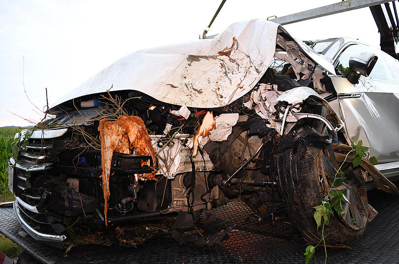 An dem Auto entstand ein wirtschaftlicher Totalschaden. Der Fahrer wurde nur leicht verletzt.