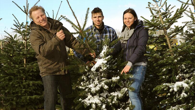 Christbaum-Profis: Rupert Bauer mit seinen Kindern Anita und Rupert junior. Christbaum-Profis: Rupert Bauer mit seinen Kindern Anita und Rupert junior.