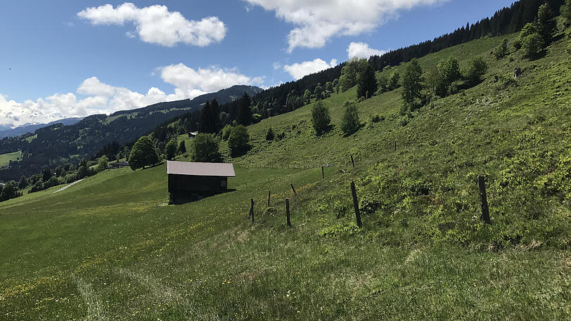 Hier passierte der Unfall: eine abschüssige Wiese im Gemeindegebiet von Aurach.