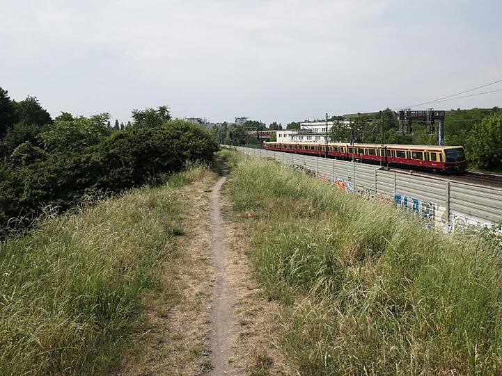 Blick auf den Bahndamm in Berlin-Pankow, an dem die Leiche der 30-Jährigen gefunden wurde.