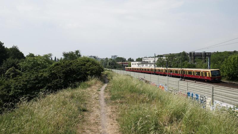 Blick auf den Bahndamm in Berlin-Pankow, an dem die Leiche der 30-Jährigen gefunden wurde. Blick auf den Bahndamm in Berlin-Pankow, an dem die Leiche der 30-Jährigen gefunden wurde.