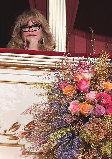 Goldie Hawn beim 61. Wiener Opernball