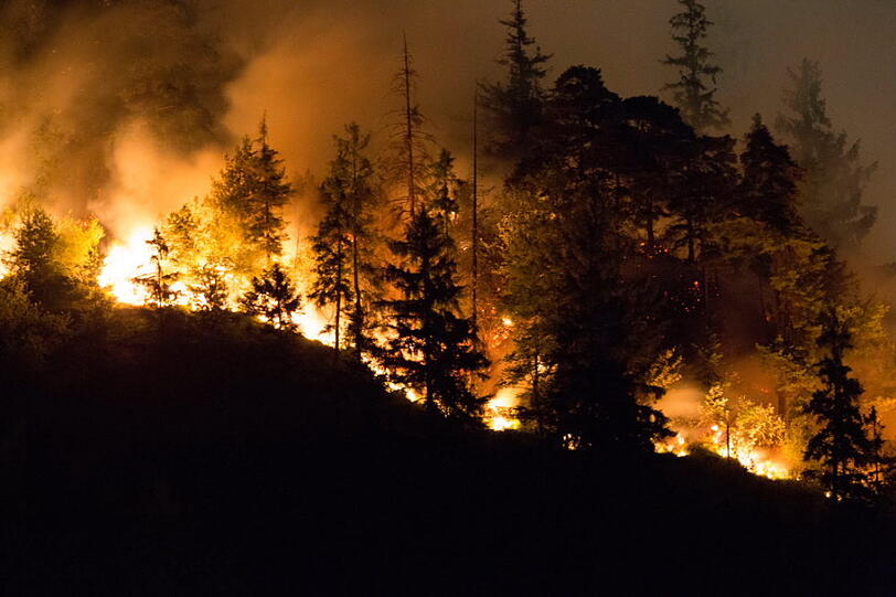 Die Polizei meldete am frühen Morgen: "Aus bisher ungeklärter Ursache kam es am Samstag, 27.07.13, abends, zu einem Waldbrand oberhalb des Thumsees bei Bad Reichenhall." Die Bilder zum Durchklicken.