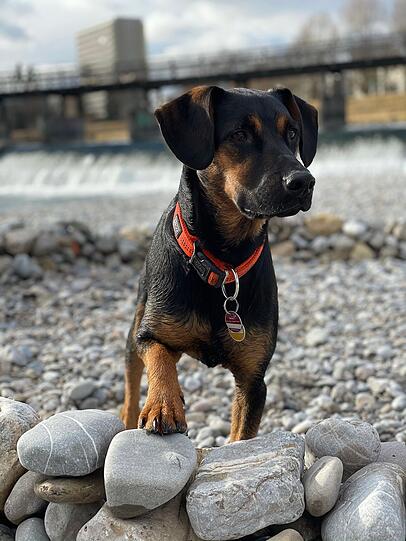 Milow