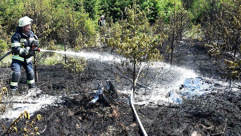 Unter extremen Bedingungen kämpfte sich die Feuerwehr zu den Flammen vor.
