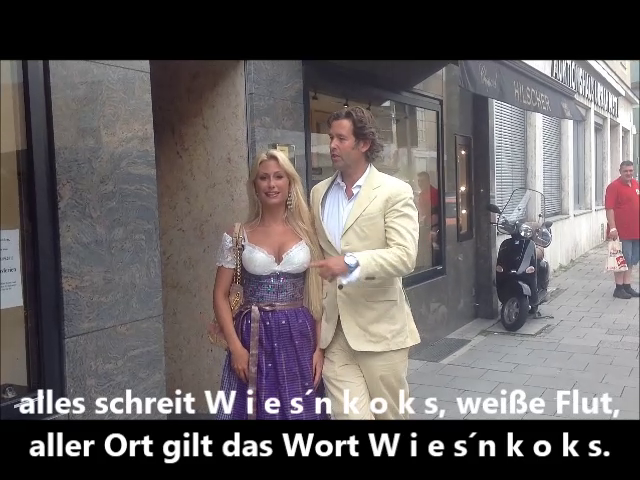 Bilder aus dem Wiesnkoks-Video