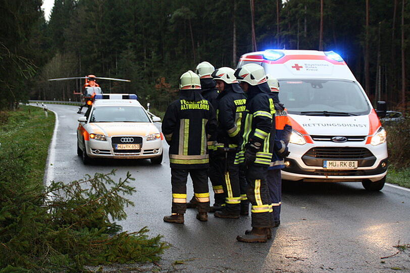 Baum zerquetscht Auto: Die Bilder vom Rettungseinsatz
