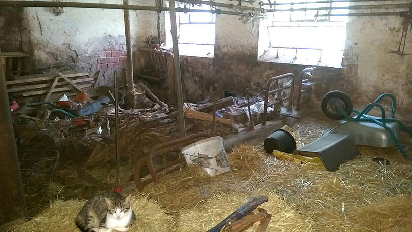 Der total vermüllte Stall. Im Vordergrund des Bildes ist eine Katze zu sehen.
