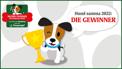 Der Gewinner zaubert beim Anblick seines Fotos jedem sofort ein Grinsen ins Gesicht.