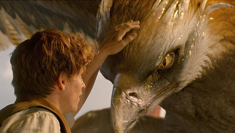 Gut, dass Newt Scamander (Eddie Redmayne) ein Händchen für Tiere hat, auch für den riesenhaften Vogel namens Thunderbird.