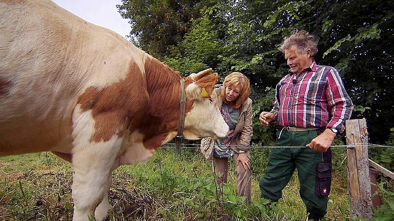 Bei Gerhard (76), dem rüstigen Sachse, geht es mit dem Traktor zu den Kühen. Er zeigt Nicole (52) wie man Trecker fährt.