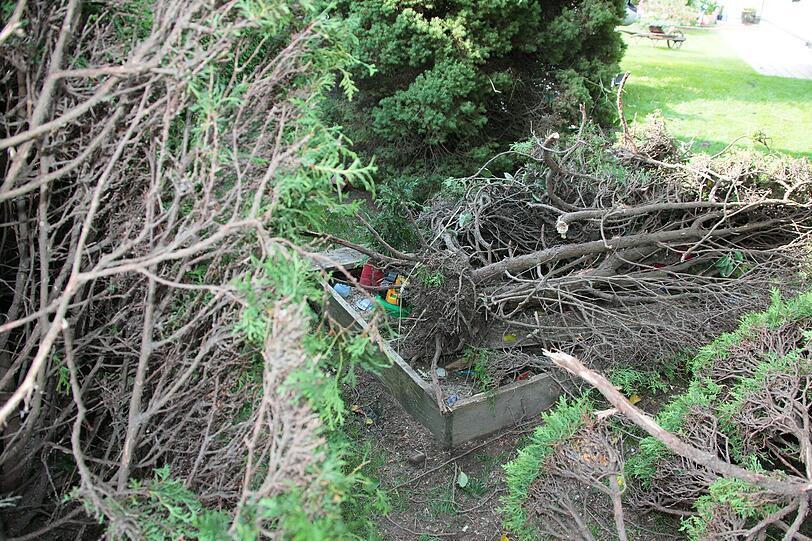 Kawasaiki-Fahrer rauscht durch die Hecke und wird schwer verletzt. Die Bilder.