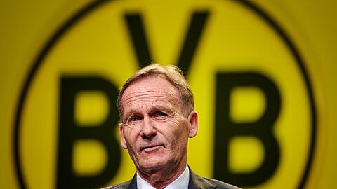 Hans-Joachim Watzke, Vorsitzender der Geschäftsführung des Vereins, spricht zu den Aktionären.