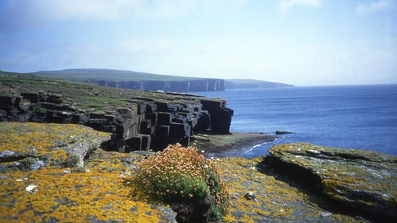 Europas kürzester Linienflug verbindet die schottischen Inseln Westray und Papa Westray.
