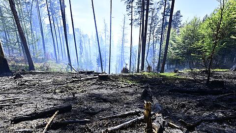 Der Brand im Nationalpark B&ouml;hmische Schweiz ist nicht unter Kontrolle.