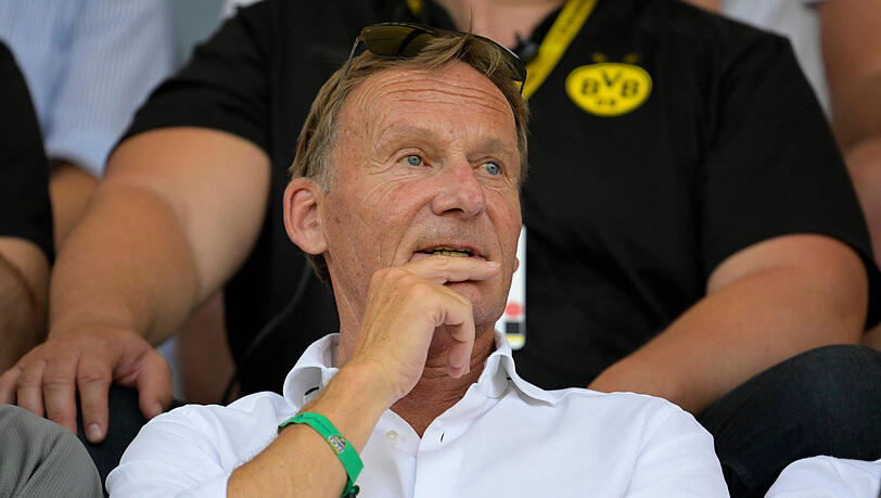 Hans-Joachim Watzke nimmt die BVB-Profis in die Pflicht.