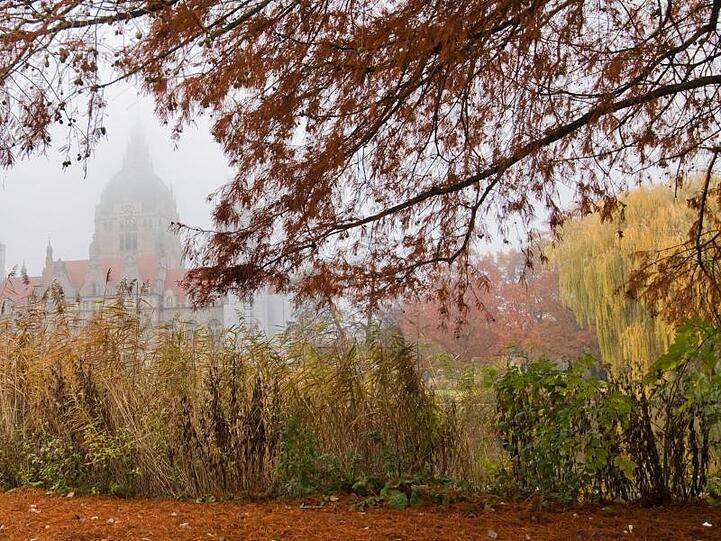 Eine Landschaft im Nebel ist zu sehen. Foto: Julian Stratenschulte/dpa/Archiv