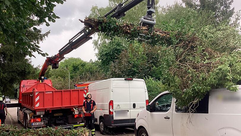 Ein Kleintransporter ist am Dienstag von einem umgestürzten Baum schwer beschädigt worden. Verletzt wurde dabei aber niemand. Ein Kleintransporter ist am Dienstag von einem umgestürzten Baum schwer beschädigt worden. Verletzt wurde dabei aber niemand.