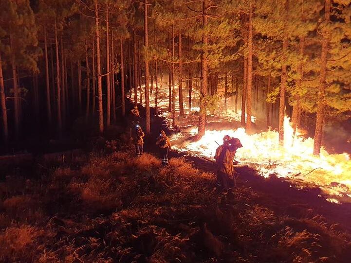 Der Waldbrand in den Bergen von Gran Canaria ist außer Kontrolle geraten.