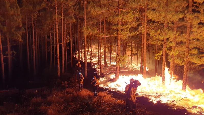 Der Waldbrand in den Bergen von Gran Canaria ist außer Kontrolle geraten. Der Waldbrand in den Bergen von Gran Canaria ist außer Kontrolle geraten.