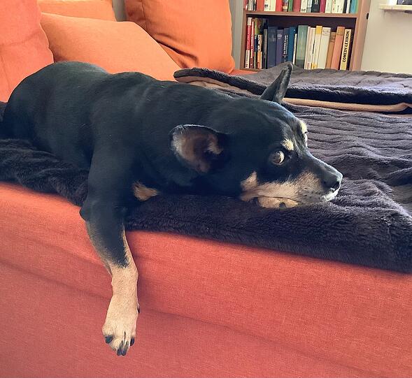 Walter