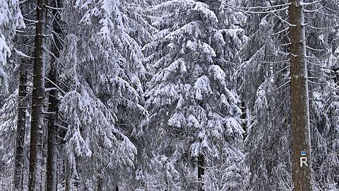 Manche genie&szlig;en den Winterspaziergang, doch f&uuml;r andere ist die anhaltende K&auml;lte eine enorme Belastung.