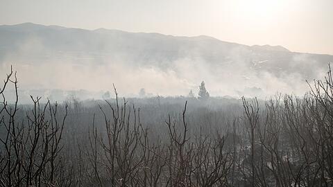Nach Angaben des Landwirtschaftsministers seien vier Flugzeuge und 14 Hubschrauber zur Brandbekämpfung im Einsatz.