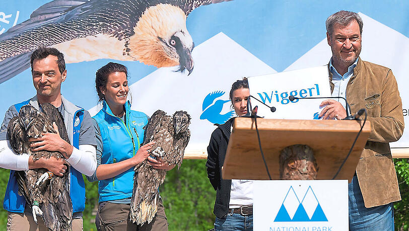 Markus Söder präsentiert die Namen der Jungvögel. "Markus" sei eher ungeeignet als Name für einen Bartgeier.