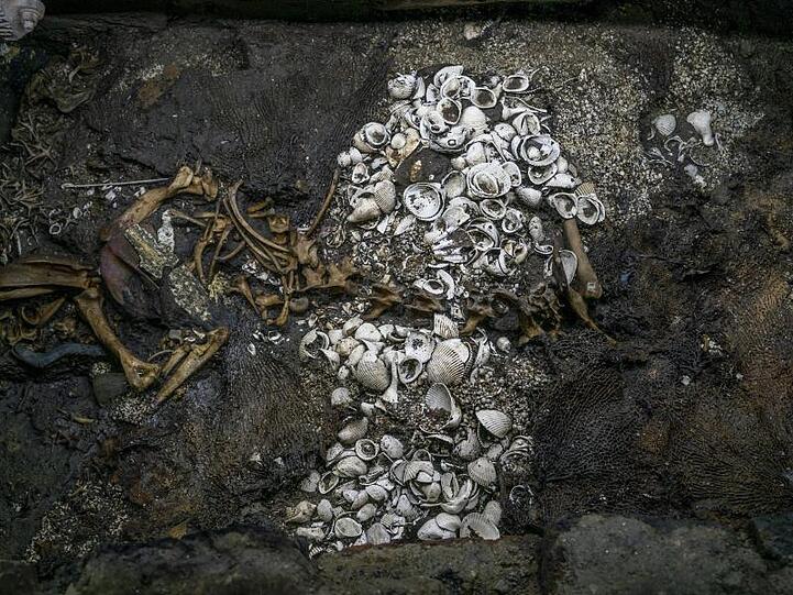 Die Überreste eines Jaguars - umgeben von Muscheln und Korallen.