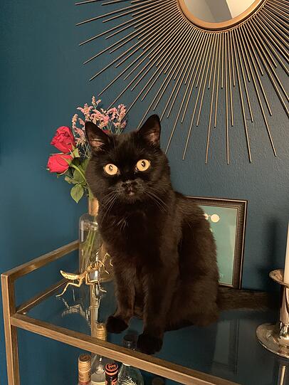 Nala