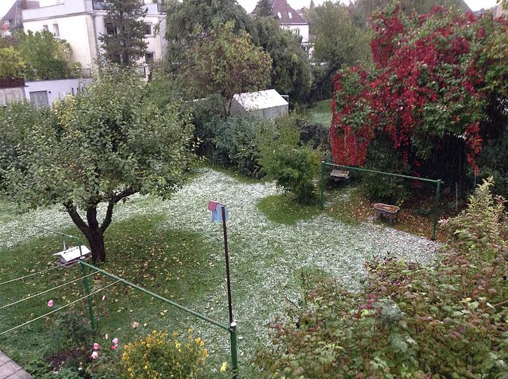 Schneeflöckchen, Weißröckchen, wann kommst du geschneit? Jetzt!