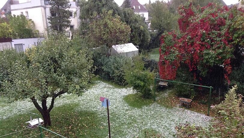 Schneeflöckchen, Weißröckchen, wann kommst du geschneit? Jetzt!