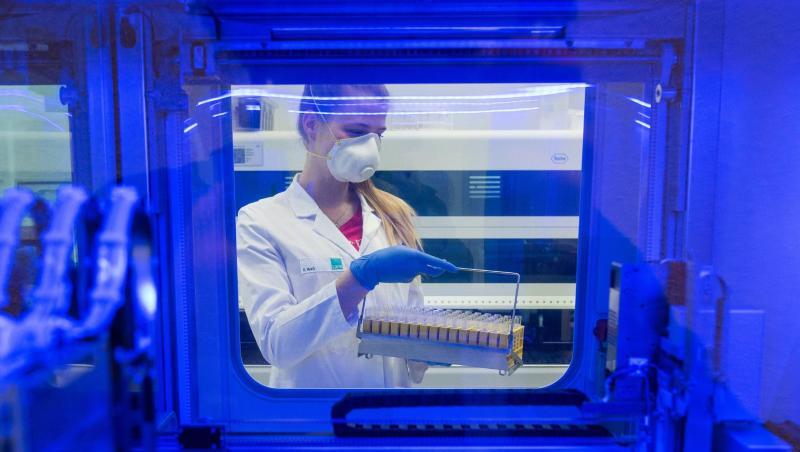 Corona-Tests in einem Labor in Schleswig-Holstein. Corona-Tests in einem Labor in Schleswig-Holstein.