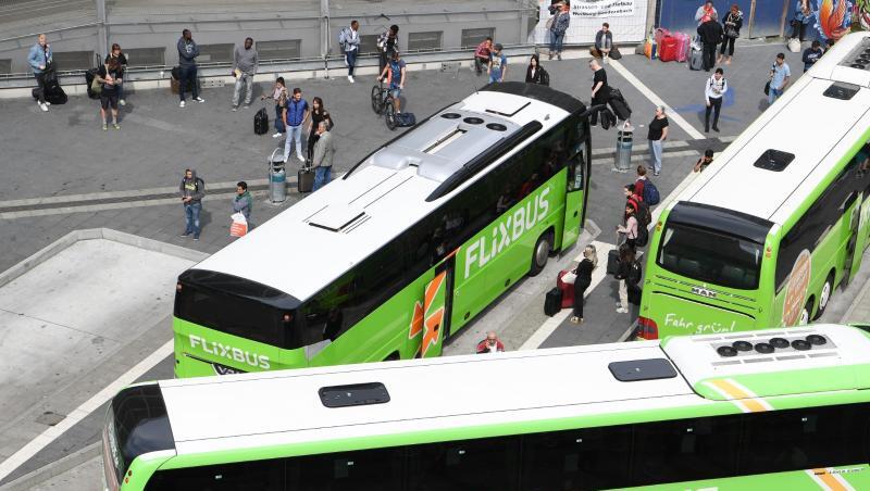 Busse des Unternehmens Flixbus stehen an einem Busbahnhof. Foto: Arne Dedert/dpa/Archivbild Busse des Unternehmens Flixbus stehen an einem Busbahnhof. Foto: Arne Dedert/dpa/Archivbild