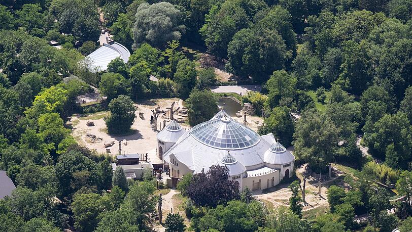 Eine Tierärztin hat die tote Giraffe im Tierpark Hellabrunn untersucht. (Archivbild) Eine Tierärztin hat die tote Giraffe im Tierpark Hellabrunn untersucht. (Archivbild)