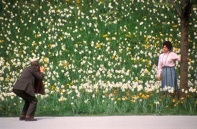 5000 Bäume und 100.000 Sträucher sind damals im Westpark neugepflanzt worden. 5000 Bäume und 100.000 Sträucher sind damals im Westpark neugepflanzt worden.