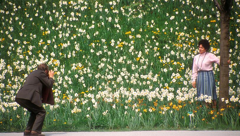 5000 Bäume und 100.000 Sträucher sind damals im Westpark neugepflanzt worden. 5000 Bäume und 100.000 Sträucher sind damals im Westpark neugepflanzt worden.