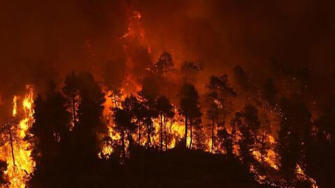 Flammen nähern sich dem Dorf Gouves auf der Insel Euböa.