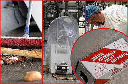 Mitarbeiter von Müller-Brot in Neufahrn. Nach jahrelangen Hygieneproblemen schlossen die Aufsichtsbehörden die Müller-Brot-Fabrik  Ende Januar 2012.