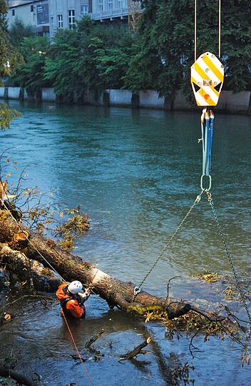 Einsatzfotos der Feuerwehr: Ein Baum stürzt in die Isar. Die Einsatzkräfte bergen die große Kastanie mit einem Kran