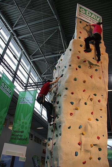 Hoch oben angekommen an der Kletterwand.