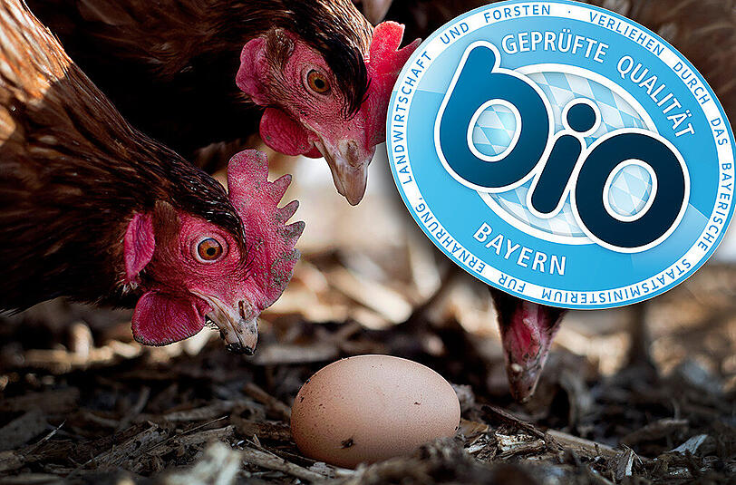 Wie soll das Ei sein? Bio oder doch lieber regional? Wer beides will, erkennt die richtigen Produkte ab Herbst an dem neuen Siegel.